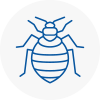 Bed Bug Extermination In Dunfermline
