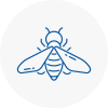 Bee Nest Removal Dunfermline
