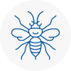 Dunfermline Hornet Nest Removals