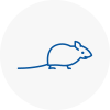 Mice Exterminators In Dunfermline
