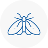 Moth Control Specialists In Dunfermline