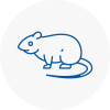 Rat Control Dunfermline