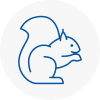 Dunfermline Rodent Removals